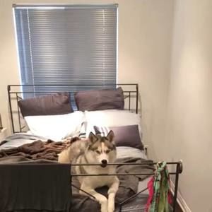 Meet your Posher, Kate